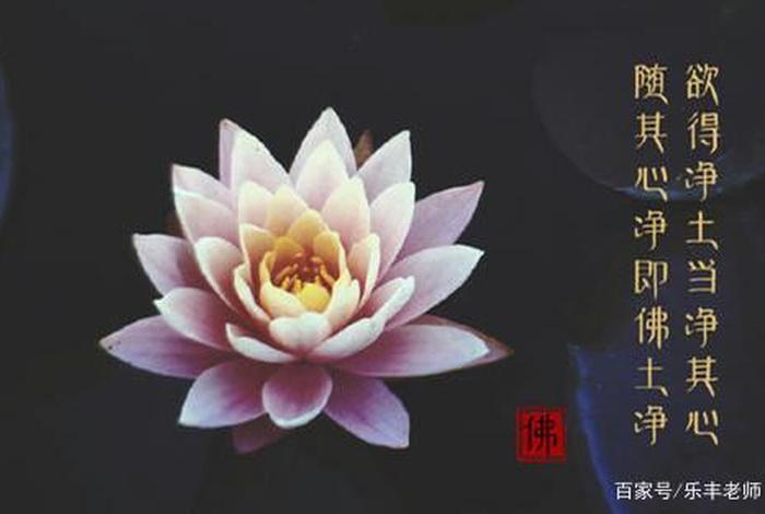 净土佛学术语；佛教说的净土是什么样子的