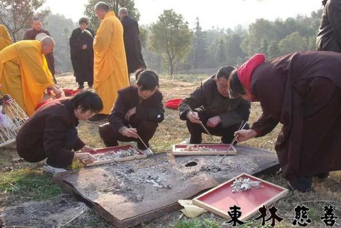 全国佛教最新往生视频 2020年最新往生视频