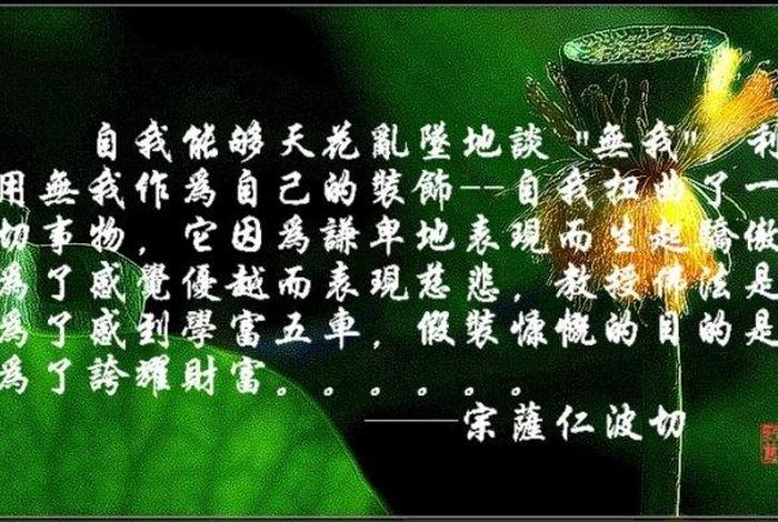 关于佛教的优美术语（关于佛教的优美术语摘抄）