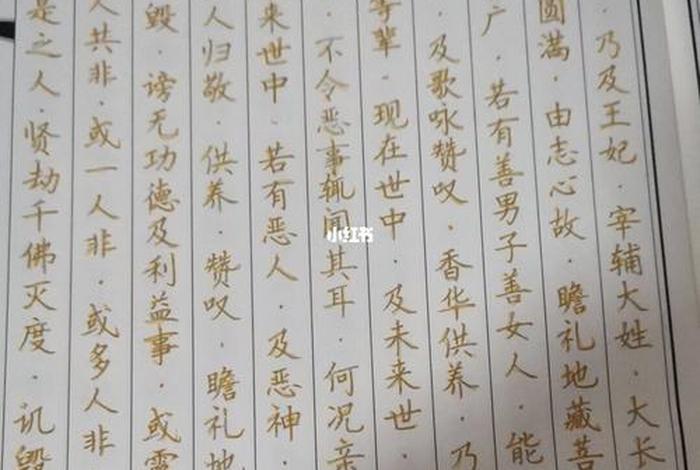 归三宝偈视频；归敬三宝