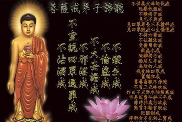 佛教戒律经文（佛学戒律经文）