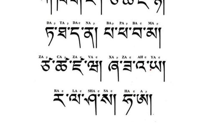 藏文百科知识大全（藏文百科知识大全下载）