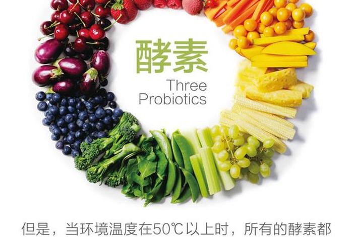 酵素念法；酵素怎么起作用