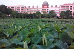 吴汝论中学初中部怎么样（吴汝纶公学是贵族学校嘛）