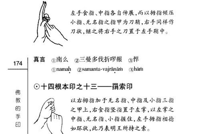 佛教自学初学（佛教怎么学）