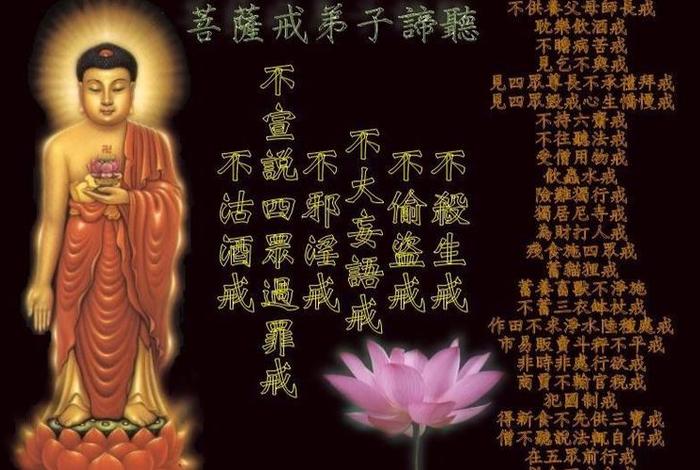 佛教戒律讲解视频 佛教戒律三大部