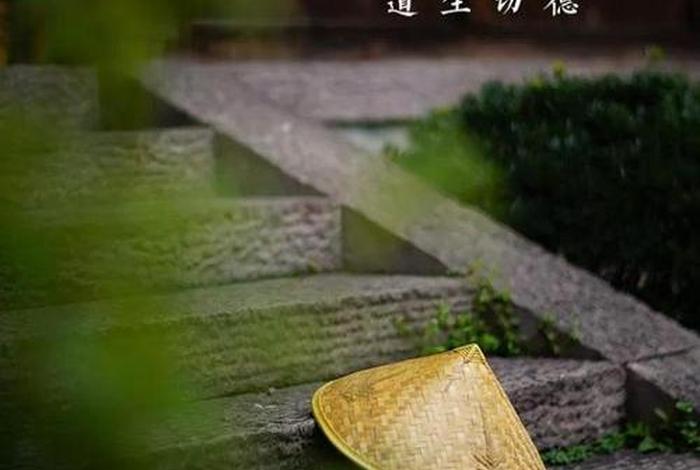 佛教丛林法则是什么意思；中国佛教丛林制度