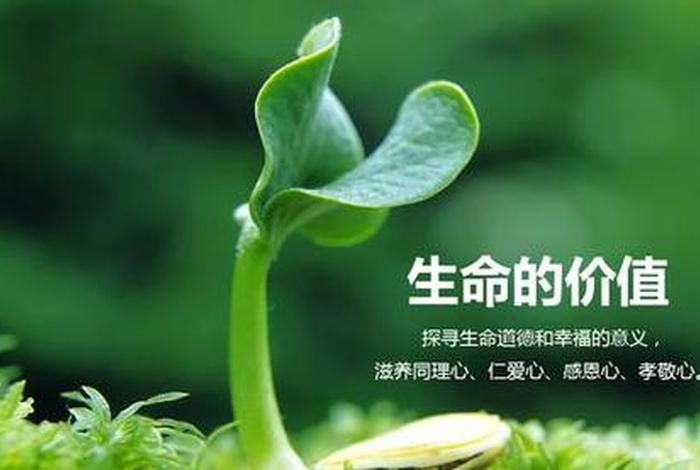 生命的起始（生命的起始叫什么）