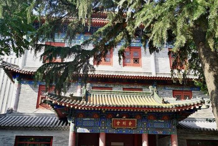 大兴善寺密宗修的什么（大兴善寺 密宗祖庭）