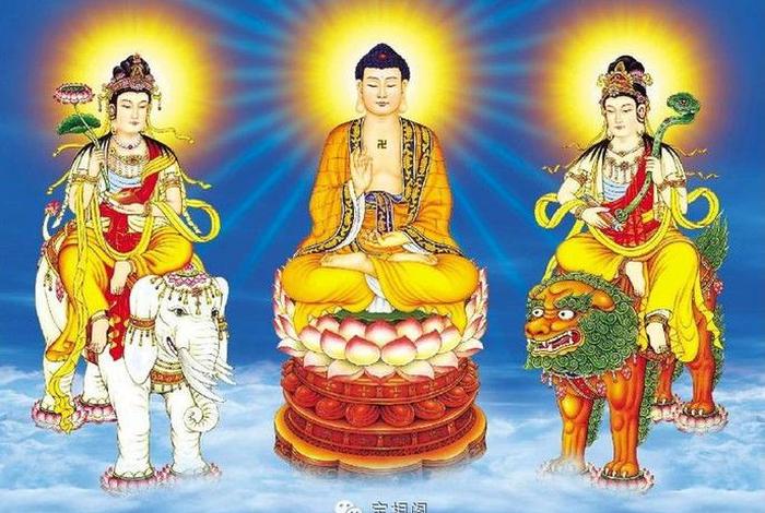 佛教常识第十二课，佛教常识第十二课心得体会