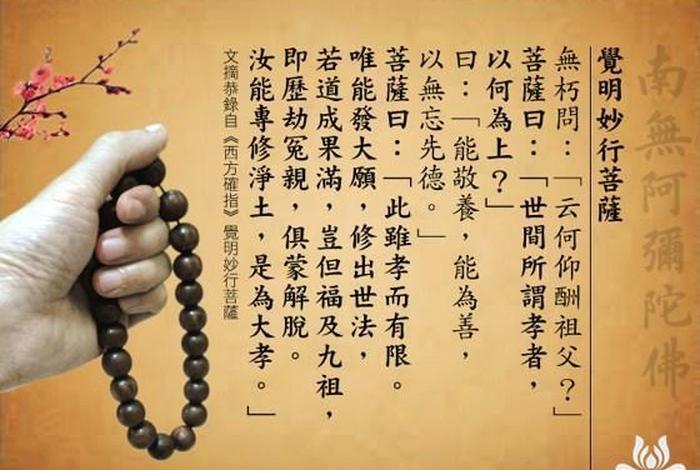 净土佛学术语；佛教说的净土是什么样子的