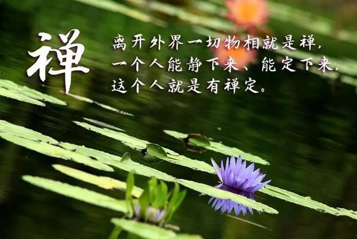 形容内心平静的佛教用语、形容内心平静的禅句