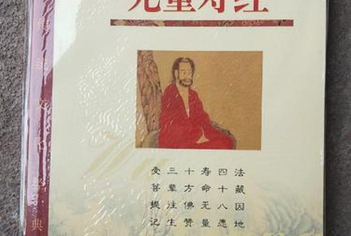 无量寿经慧远大师佛学文集 慧远大师无量寿经义疏