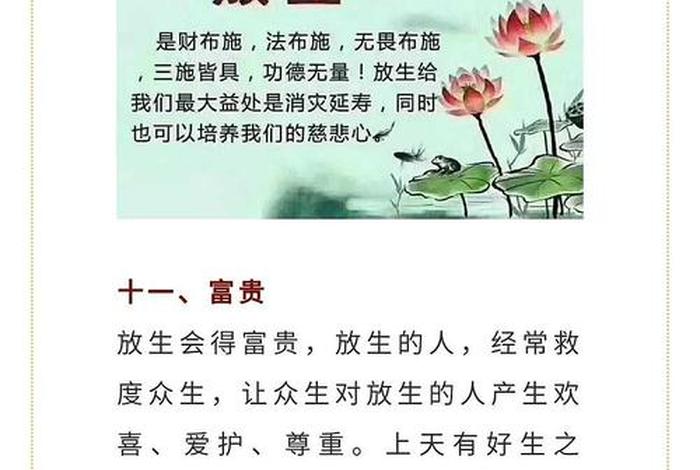 放生功德学佛网；放生功德简单几句