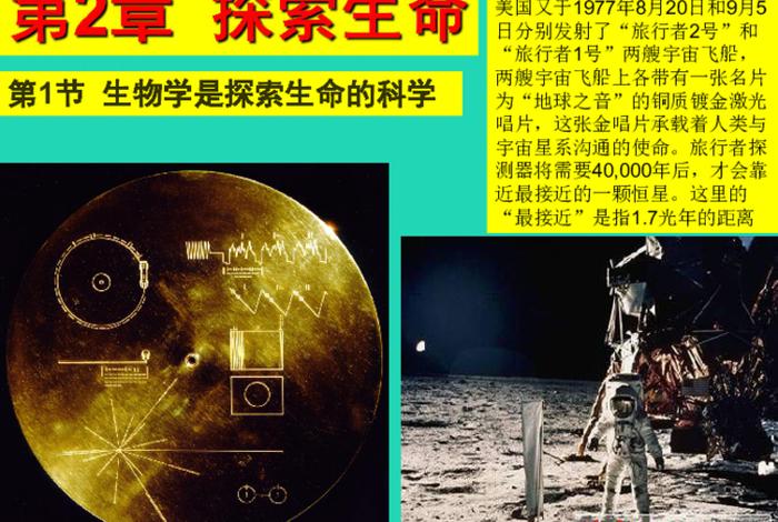 生命慧命使命是出于哪里，生命智慧是什么课程