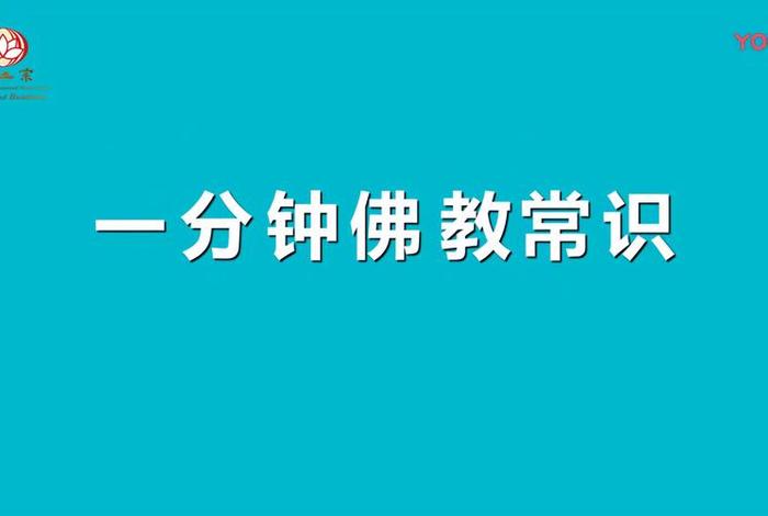佛教知识解说视频全集大全下载；了解佛教 视频