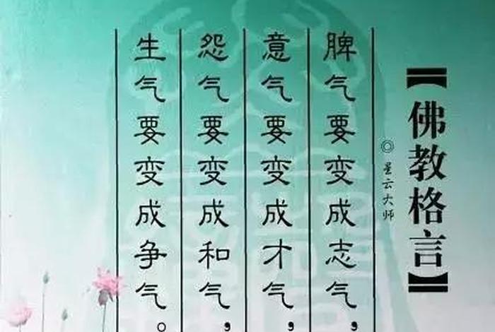 佛教用语有哪些；佛门金句