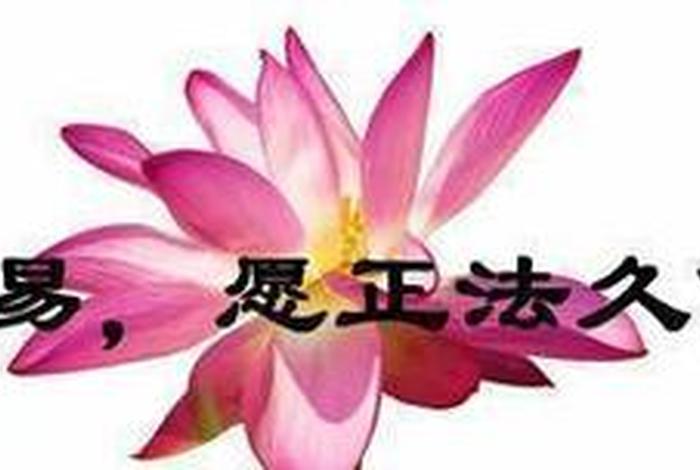 佛学 念 佛学念起即觉,觉之即无!