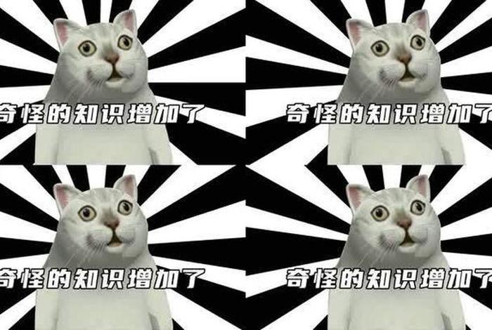 奇怪的知识又要增加了，奇怪的知识又要增加了的成语