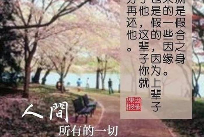 佛学因缘果报视频，《因缘果报》