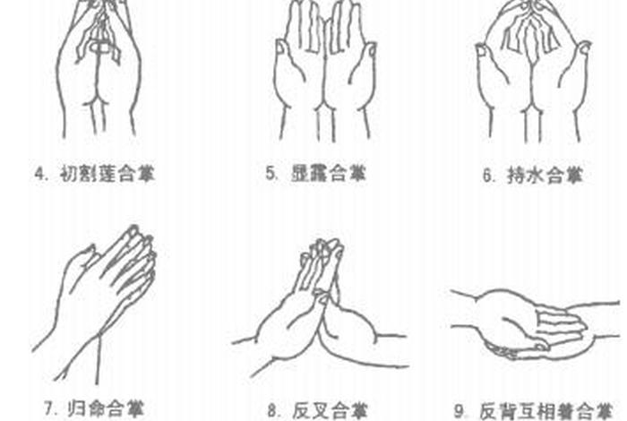 佛教礼仪中合掌有几种形式、学佛合掌是什么意思