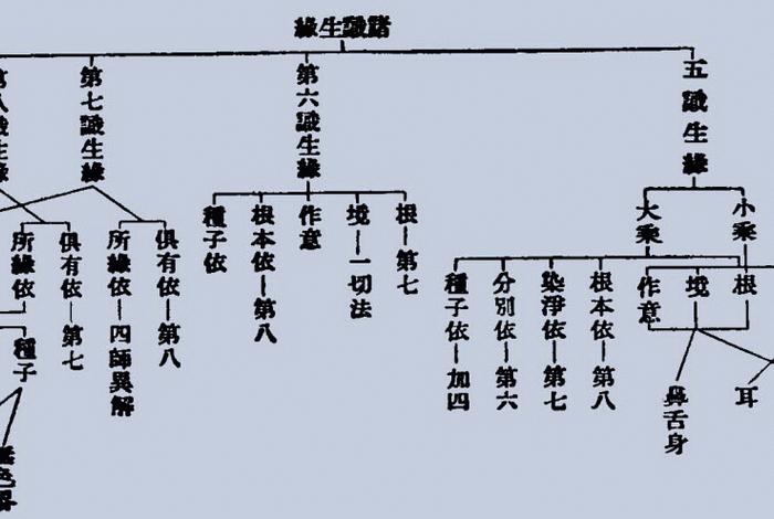 佛教唯识论共有几识，唯识论是佛说的吗