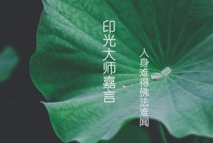 佛教善根是什么 善根的人啥意思
