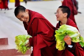 佛教新政策新规定，佛教新法规