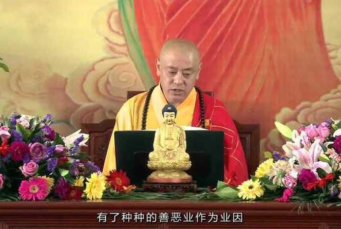 佛教讲座视频大全集第一集，佛教的讲座的视频