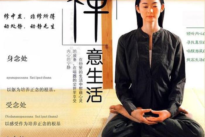 佛教禅修健身知识大全集视频 禅修 佛教