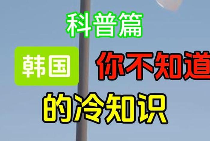 韩国冷知识大全视频（韩国的冷知识）