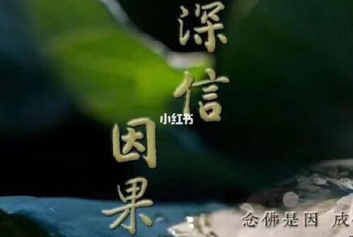 佛教的因果轮回什么意思 - 佛语因果轮回