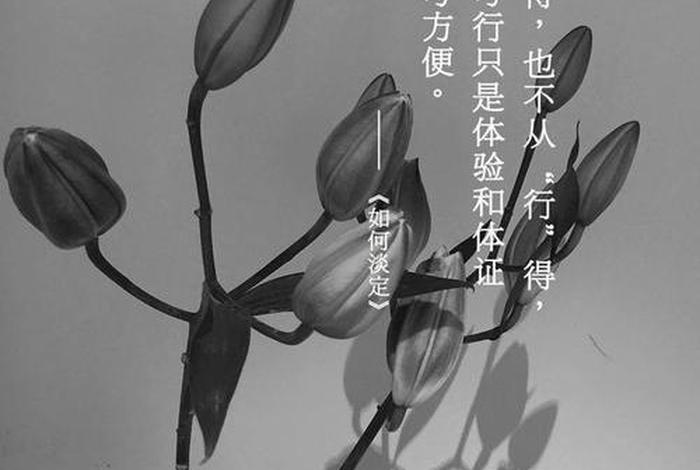 佛学的禅是啥意思，禅究竟是什么