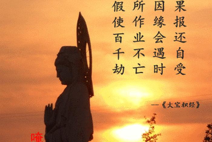 佛教是神学还是玄学 - 佛教不是神学