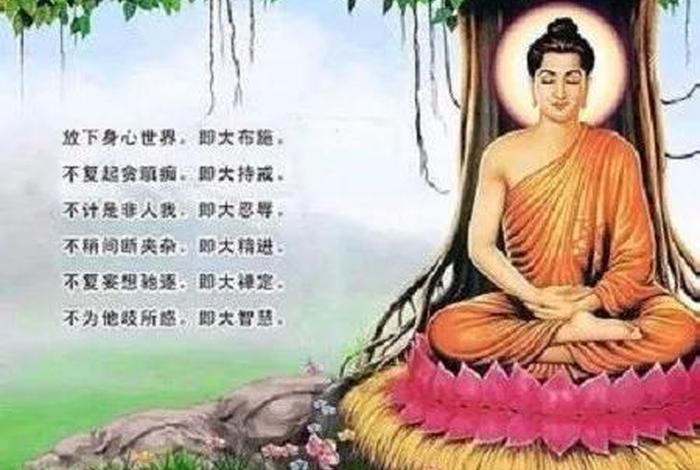 真正学佛的人是很有智慧的 真正学佛的人是很有智慧的人