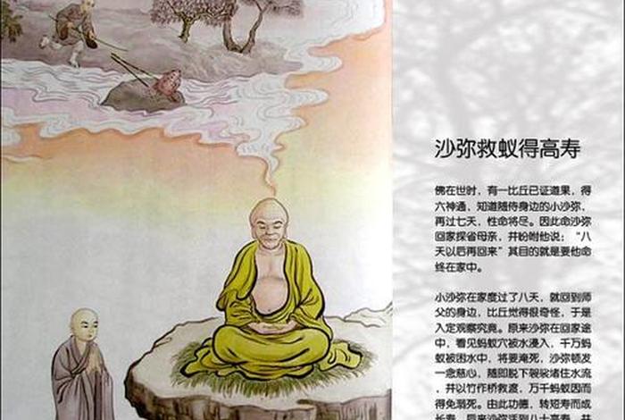 佛教文化放生；佛教放生的起源