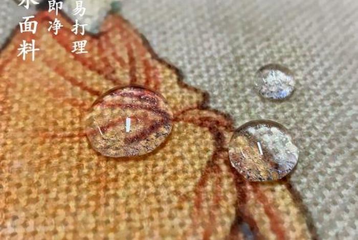 红楼梦的佛理禅意 红楼梦佛理禅意的词