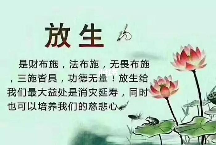 慈悲心如何修，慈悲心的功德、力量