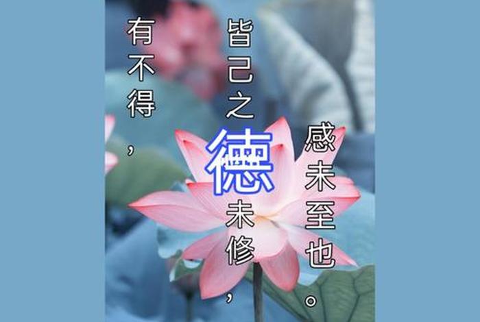 修善无上什么意思、修善为上