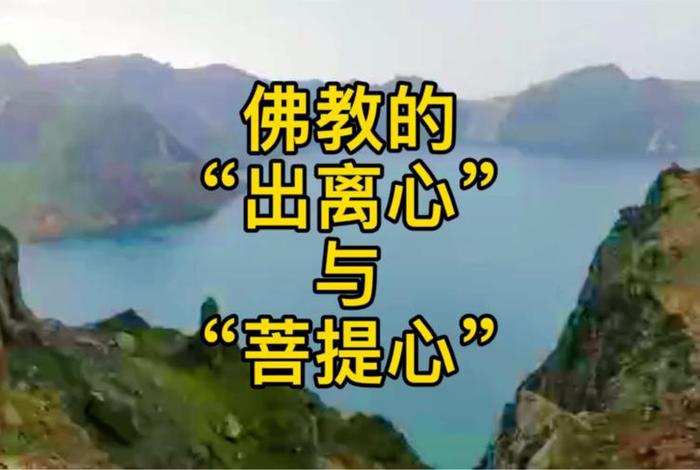 佛教慈悲与菩提心区别（佛教慈悲与菩提心区别是什么）