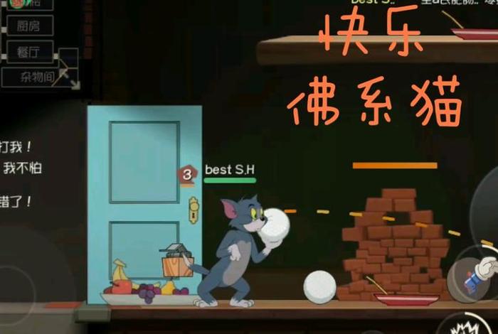 猫和老鼠佛系猫是什么意思，猫和老鼠佛系猫磊哥