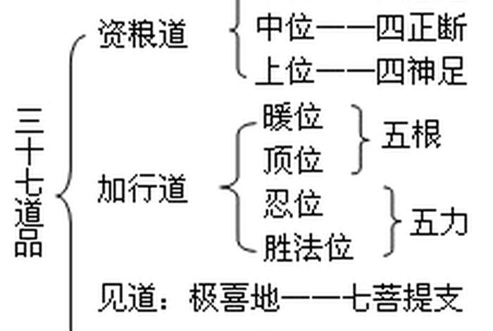 佛教基础知识问答视频教程，佛教基础知识问答100道