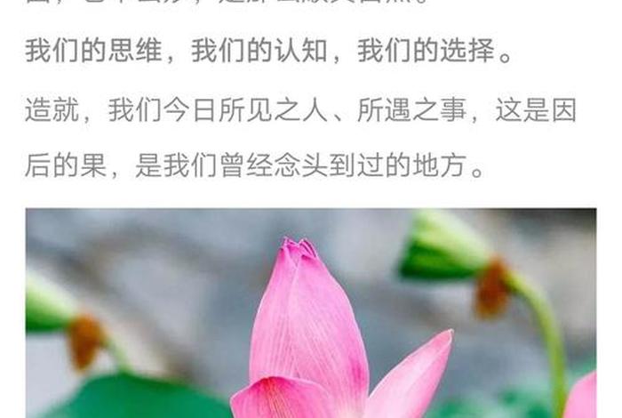 佛说女性之美 - 佛说女人摘录 佛说女性之美 - 佛说女人摘录