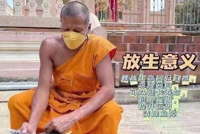 佛教放生一只鸟的功德 - 佛教放生一只鸟的功德是什么