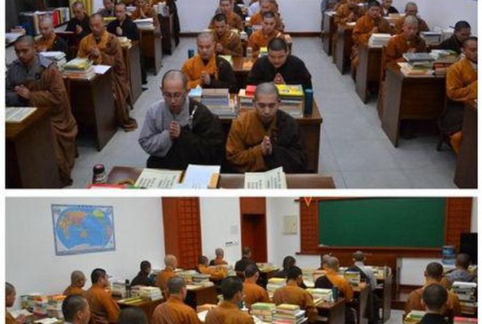 佛学课程 - 佛学课程班