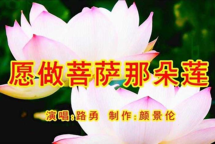佛教最好听视频，佛教视频歌曲大全