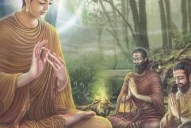 原始佛教真实感受，原始佛教真实感受和收获