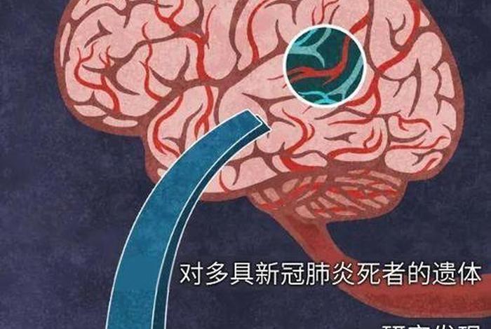 佛教高人谈新冠病毒 佛教看待新冠肺炎