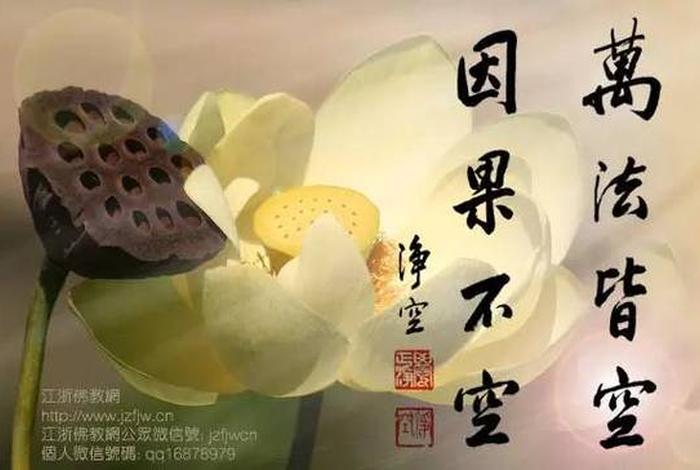 十不善业都是什么，十不善业是如何分类的