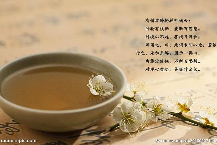 佛教与茶的关系内容；茶与佛学